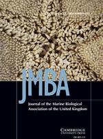 Picture cover of a scientific paper!