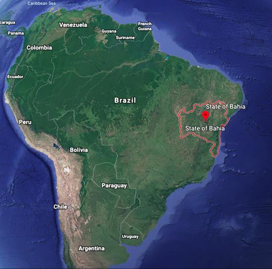 Taxonomy of the Asteroidea from Bahia, Brazil